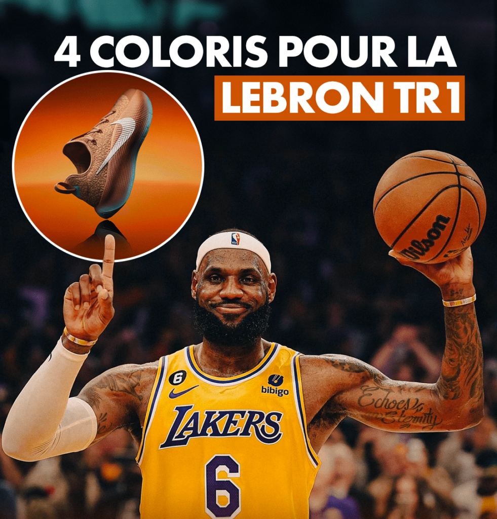 nike lebron tr 1 paire entrainement lebron james